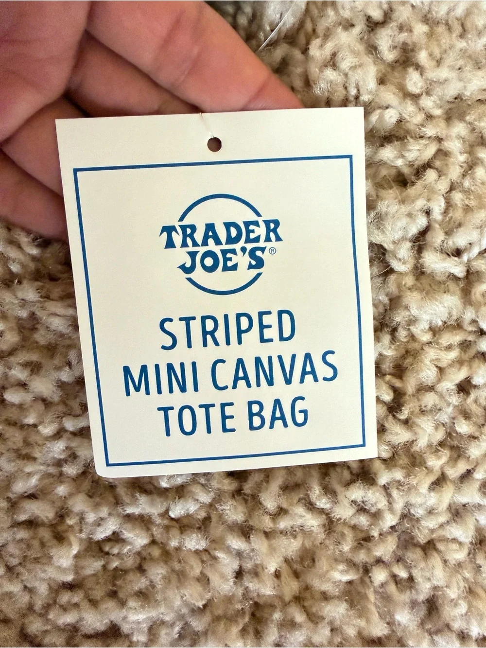 NWT Trader Joe's‎ Mini Pastel Stripe Canvas Tote Bag Limited Edition